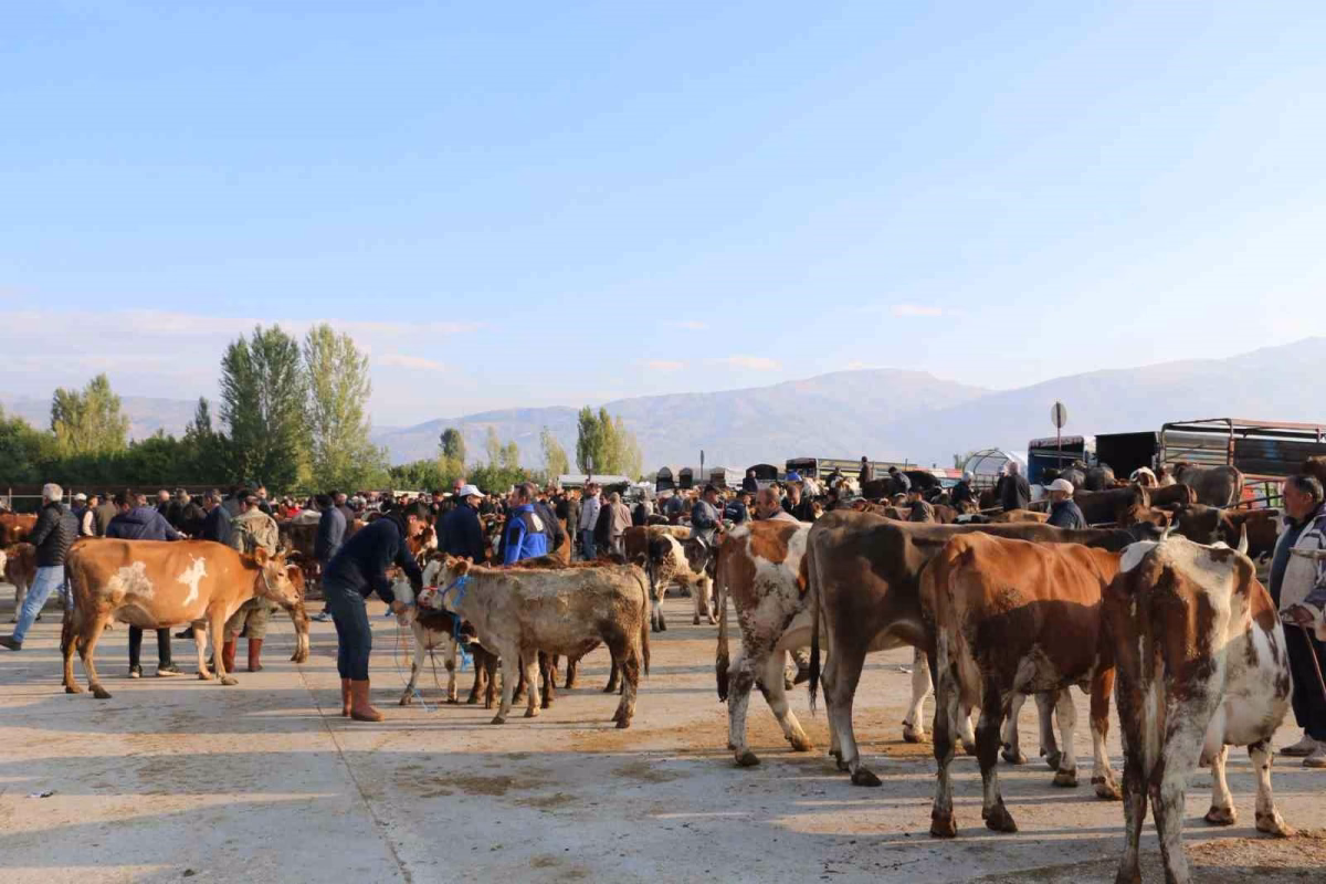 Erzincan’da hayvan yetiştiricilerine şap hastalığına karşı aşılama uyarısı