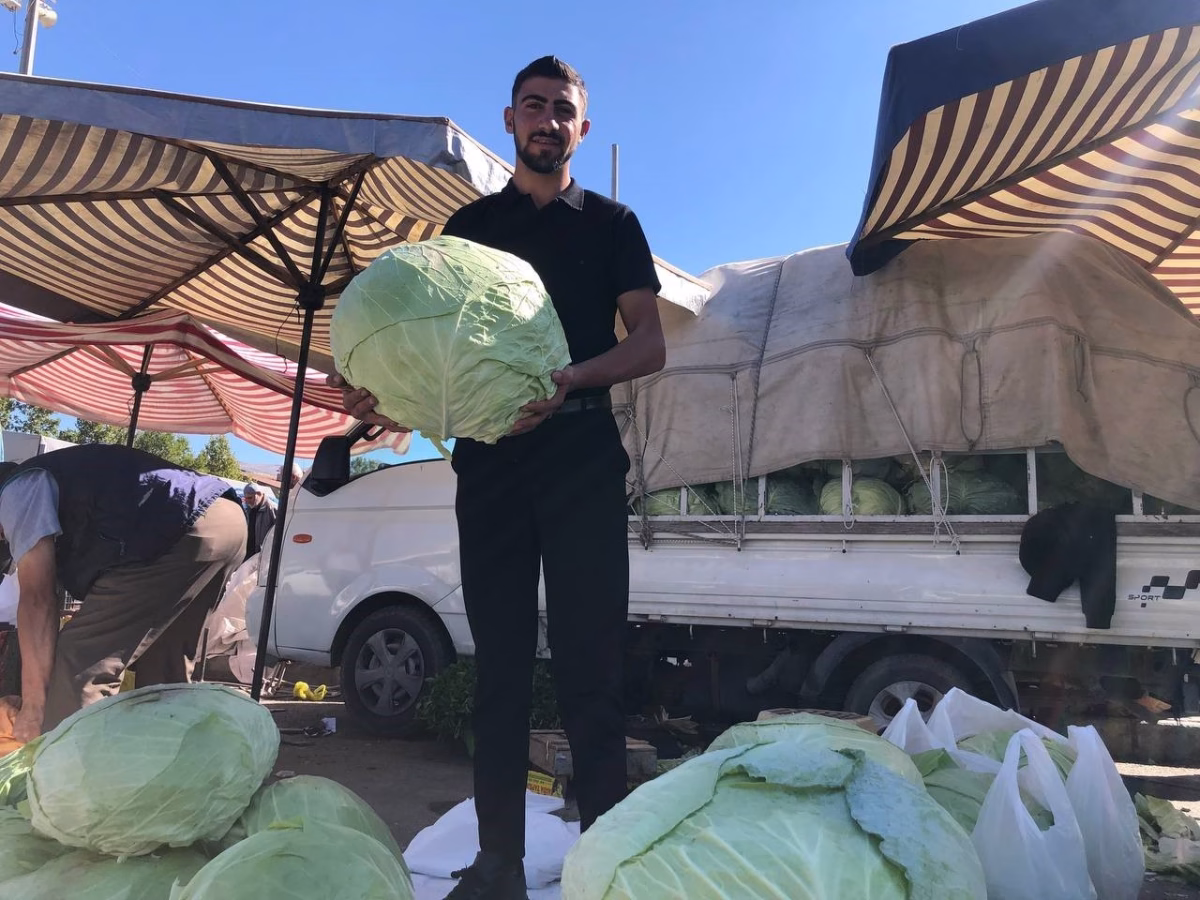 Erzincan’da turşuluk ve yemeklik lahanalar tezgahta yerini aldı