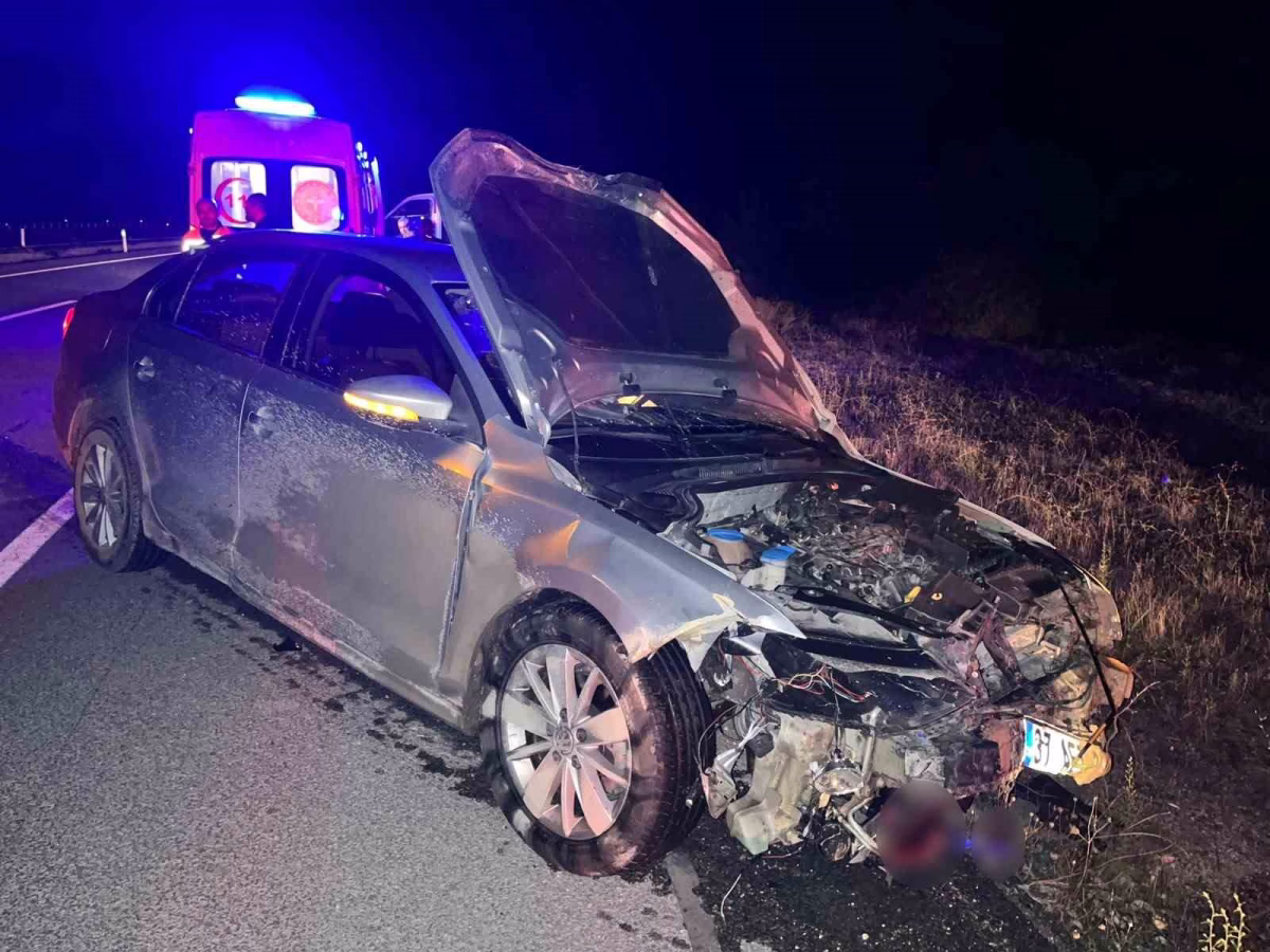 Kastamonu’da otomobil domuz sürüsüne çarptı: 2 yaralı