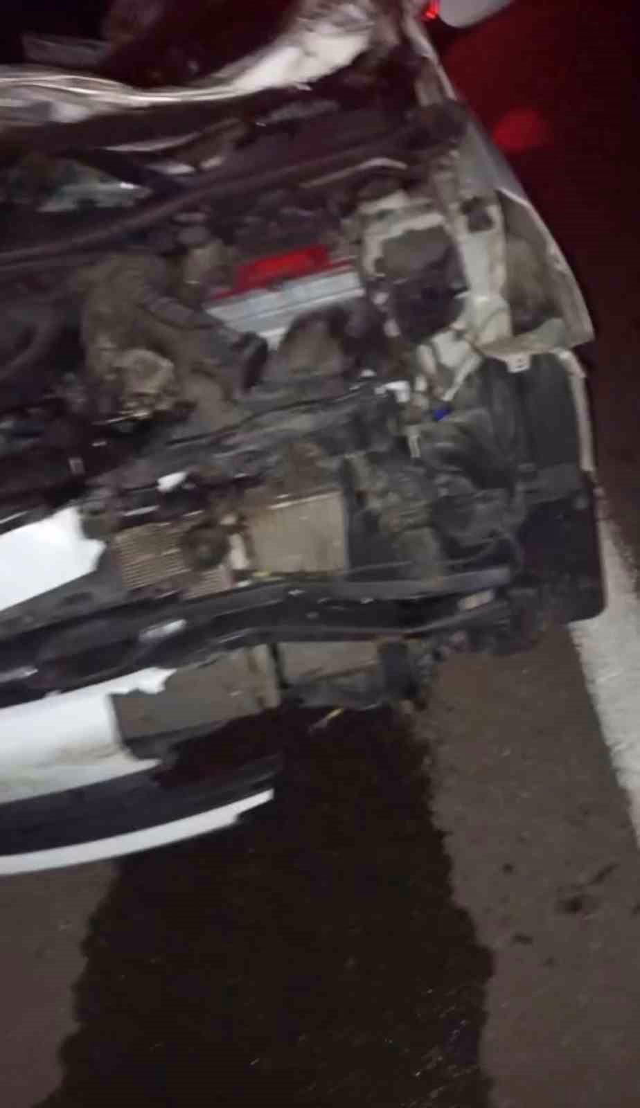 Bingöl’de otomobil ineğe çarptı: 4 yaralı