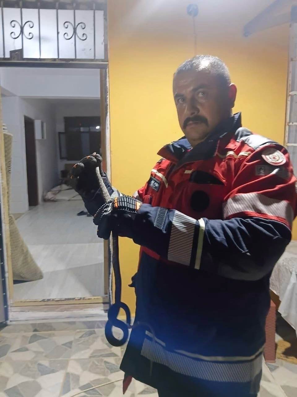 Hassa'da Yerleşim Yerindeki Yılan Doğaya Bırakıldı