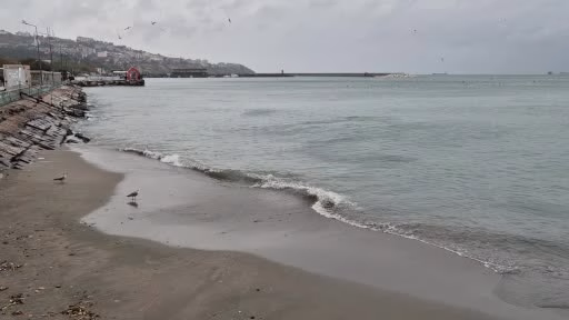 Marmara'da fırtına balıkçıları limana sığdırdı