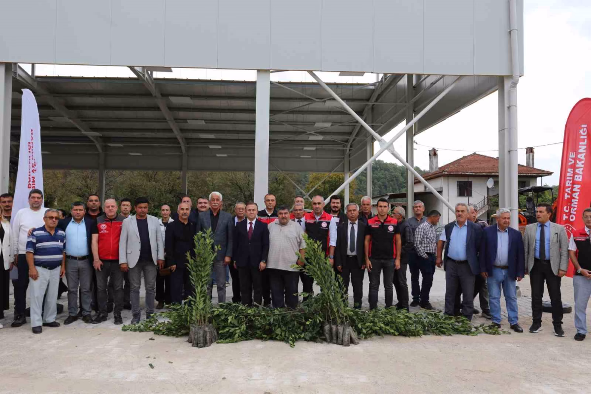 Muğla'da Defne Hasadı ve Fidan Dağıtımı Yapıldı