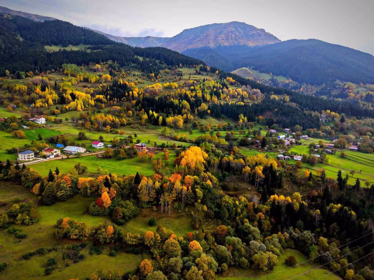 Artvin'de sonbahar renk cümbüşü