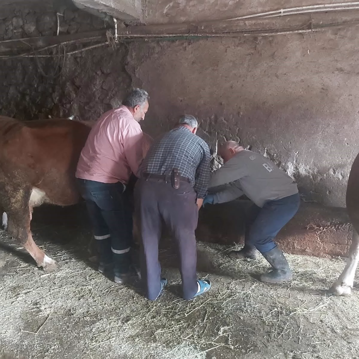 Aydıntepe'de Yavru Atık Bildirimi Sahası