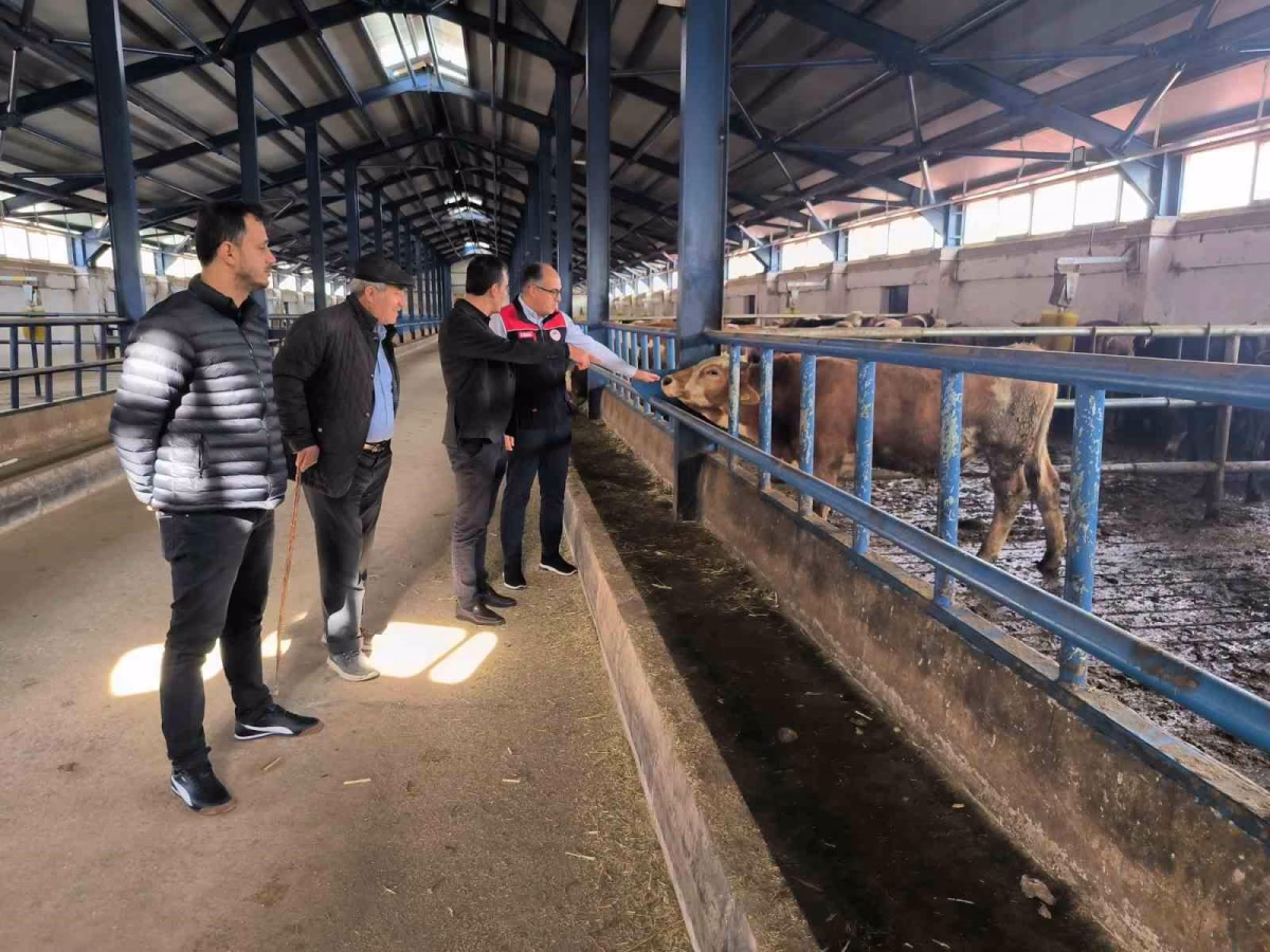 Bayburt'ta hibe destekli hayvancılık tesisi incelendi