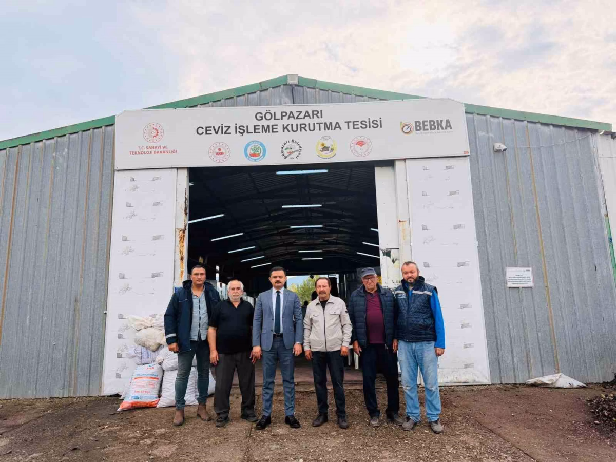 Bilecik'te yılda 400 ton ceviz
