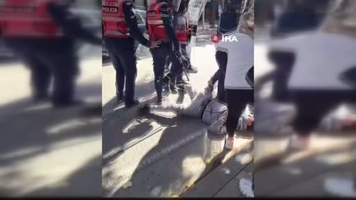 Arnavutluk'ta protestolar dördüncü gününde sürüyor