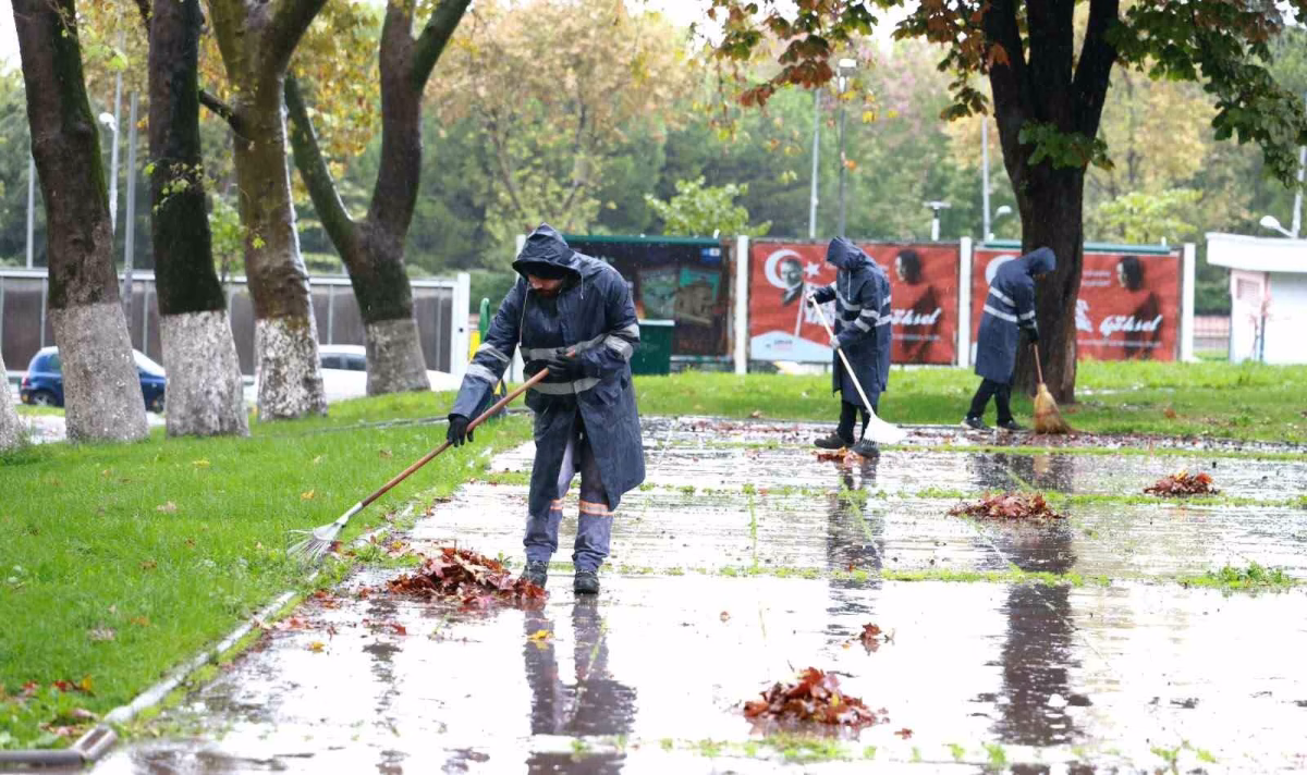 Osmangazi'de sonbahar yaprakları komposta dönüştürülüyor