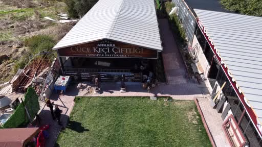 Ankara’da Cüce Keçiye Yoğun İlgi