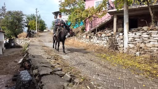 Manisa'da Dağlardan Toplanan Çitlembik Gelir Kapısı Oldu