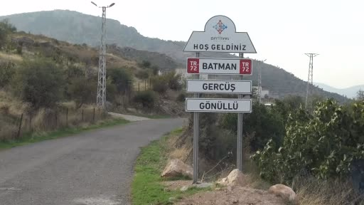 Batman'da Geleneksel Pirinç Hasadı Başladı