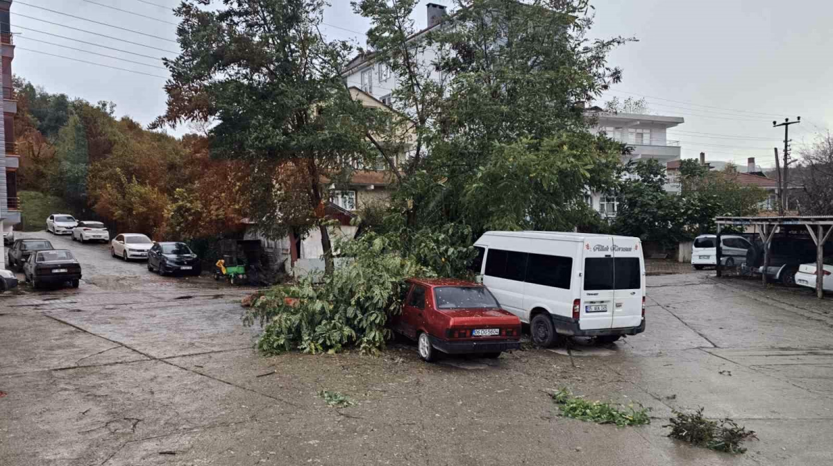Cide’de şiddetli fırtına çatıları uçurdu