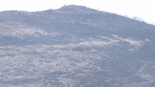 İzmir'den Yangından Etkilenen Üreticilere Yem Desteği