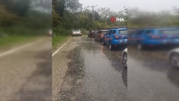 Kastamonu'da şiddetli fırtına ağaçları devirdi