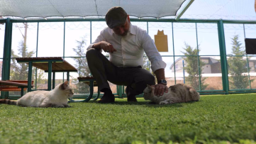 Kayseri’de Küçük Dostlar Kedi Kasabası