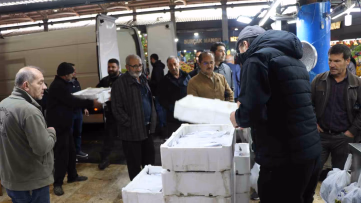 Sivas'tan Diğer Şehirlere Palamut Sevkiyatı
