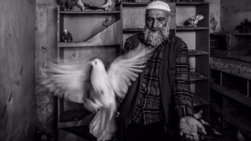 Ara Güler Yarışmasında Manisa'ya Başarı Ödülü