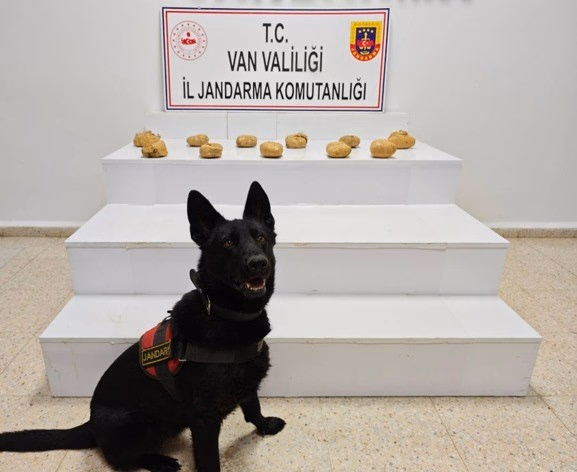 Başkale’de 11 Kilo Toz Esrar Ele Geçirildi