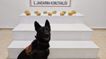 Başkale’de 11 Kilo Toz Esrar Ele Geçirildi