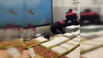 Bayrampaşa'da stada girmeye çalışan şüpheliler serbest