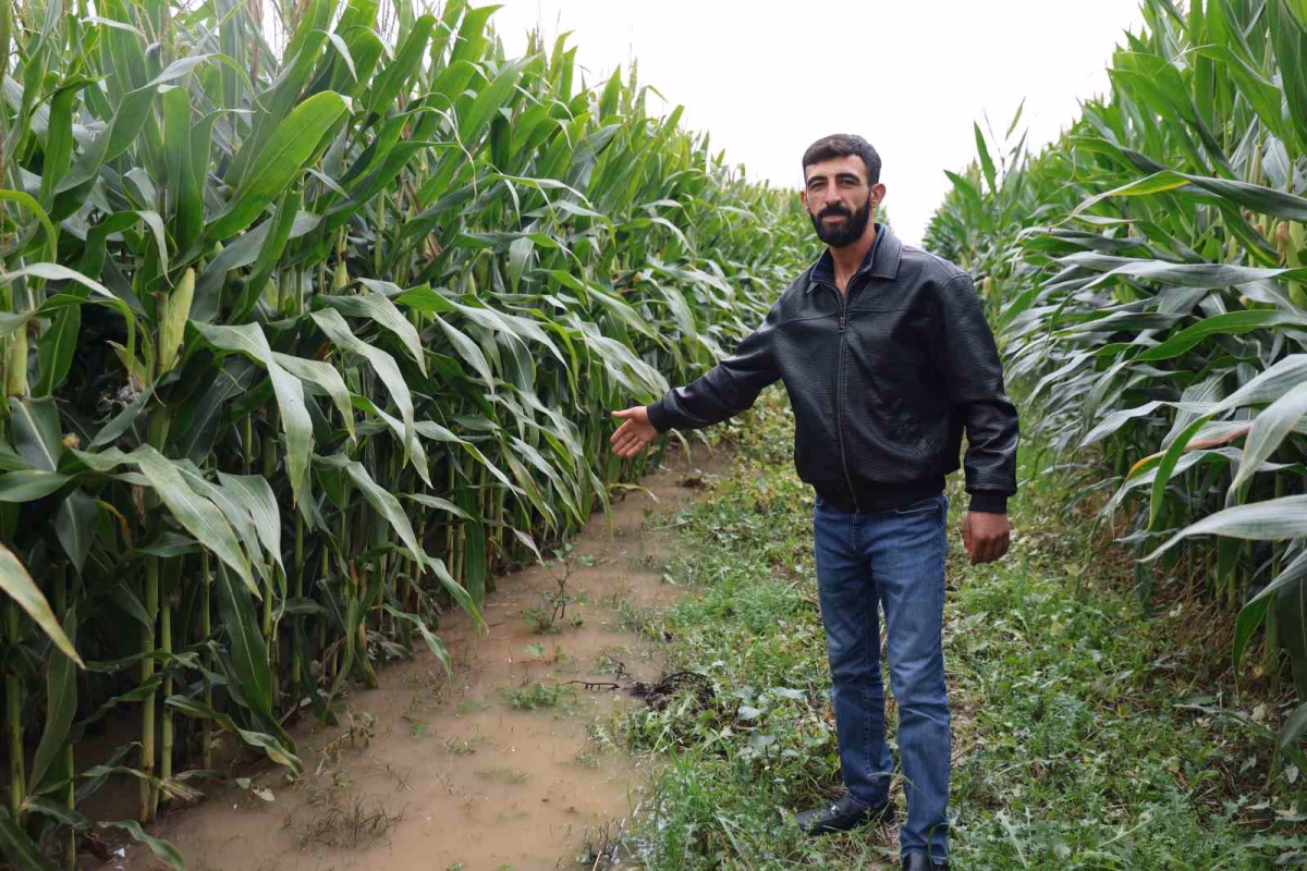 Elazığ'da Taşan Dere 300 Dönüm Tarlayı Bıraktı