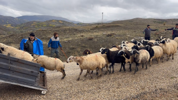 Erzincan’da yayla sezonu bitti, dönüş başladı