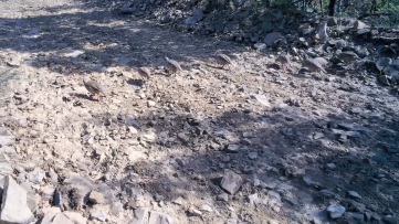 Ganos Dağları’nda keklik sürüsü görüntülendi