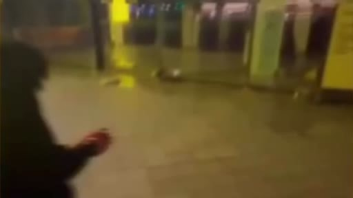 İstanbul'daki Suç Operasyonunda 15 Gözaltı