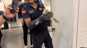 İtfaiyeden mahsur kalan kedi ile köpeğe kurtarma operasyonu
