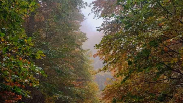 Kazdağları’nda sonbahar renk cümbüşü