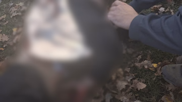 Rusya'dan Harkov'da Parka İHA Saldırısı