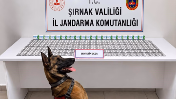 Şırnak'ta Jandarma Operasyonları: 12 Tutuklama