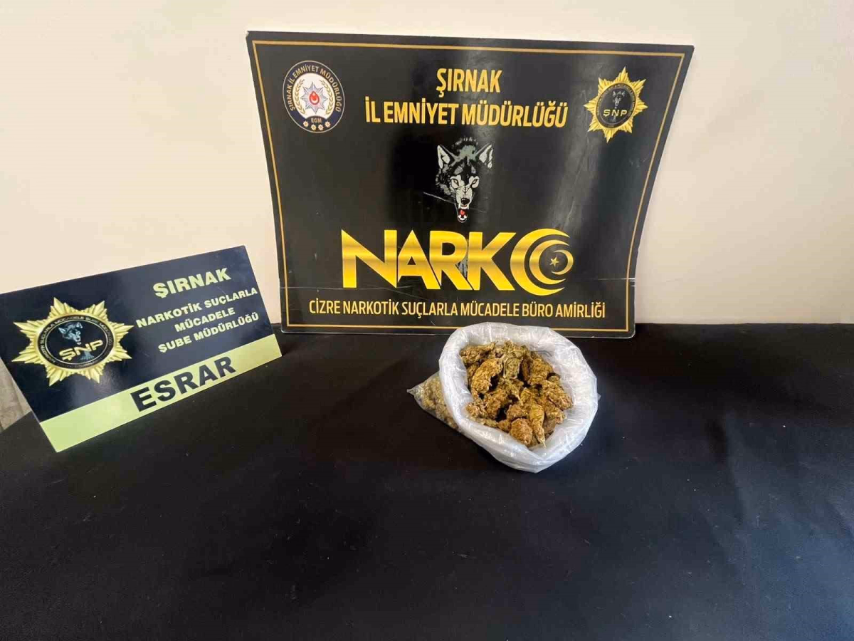 Şırnak'ta Operasyonlar: 104 Şüpheli Yakalandı