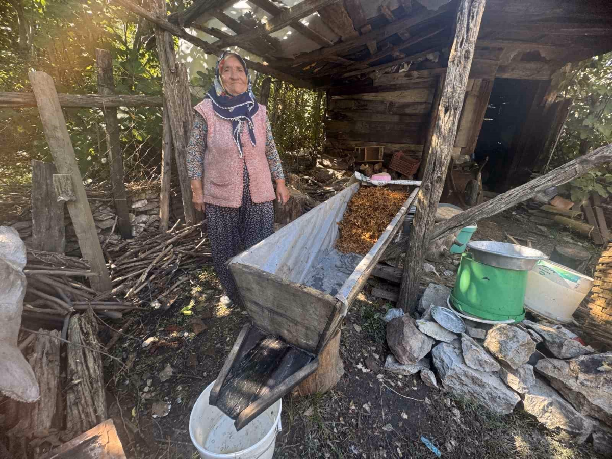 Toroslar'da geleneksel üzüm pekmezi mesaisi
