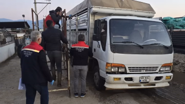 Aydın'daki Hayvan Pazarında Sıkı Denetim