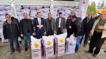 Çay'da üreticilere 56 ton buğday tohumu dağıtıldı