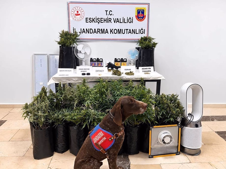 Eskişehir'de uyuşturucu ve kenevir operasyonu düzenlendi
