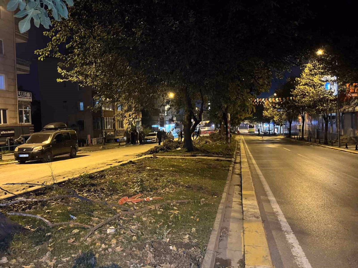 Eyüpsultan'da Ağaç Kesimi İddialarına Tepki