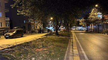 Eyüpsultan'da Ağaç Kesimi İddialarına Tepki