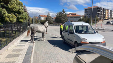 Karaman'da Otomobile Çarpan At Kamerada