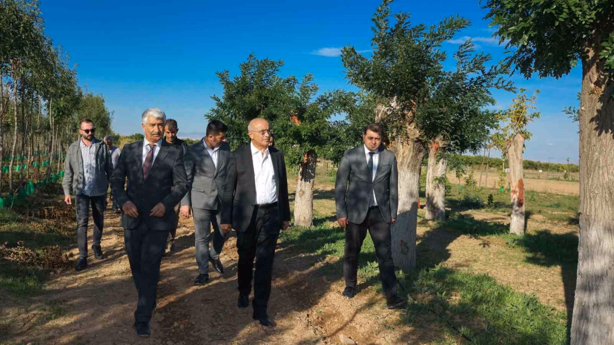 Malatya'da Yılda 20 Bin Fidan Üretiliyor
