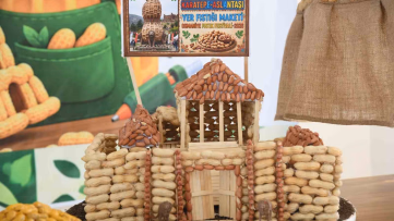 Öğrenciler Yer Fıstığının Hikayesini Sanatla Anlattı