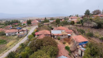 Osmancık Karası üzümünün gen haritası çıkarıldı