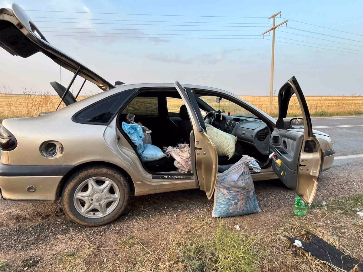 Şanlıurfa'da Fıstık Hırsızları Suçüstü Yakalandı