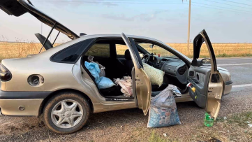 Şanlıurfa'da Fıstık Hırsızları Suçüstü Yakalandı