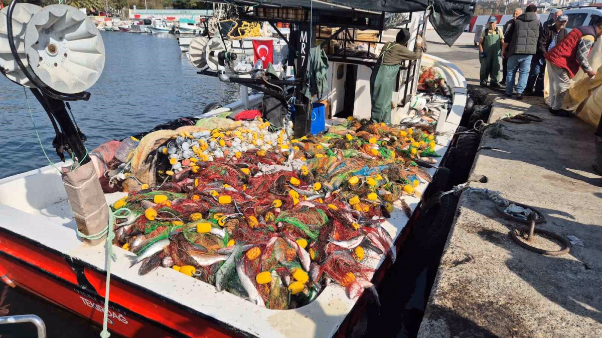 Tekirdağ'da Balıkçılar 1,5 Ton Kefal Yakaladı