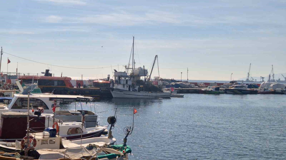 Tekirdağlı Balıkçılar Yeniden Denize Açıldı
