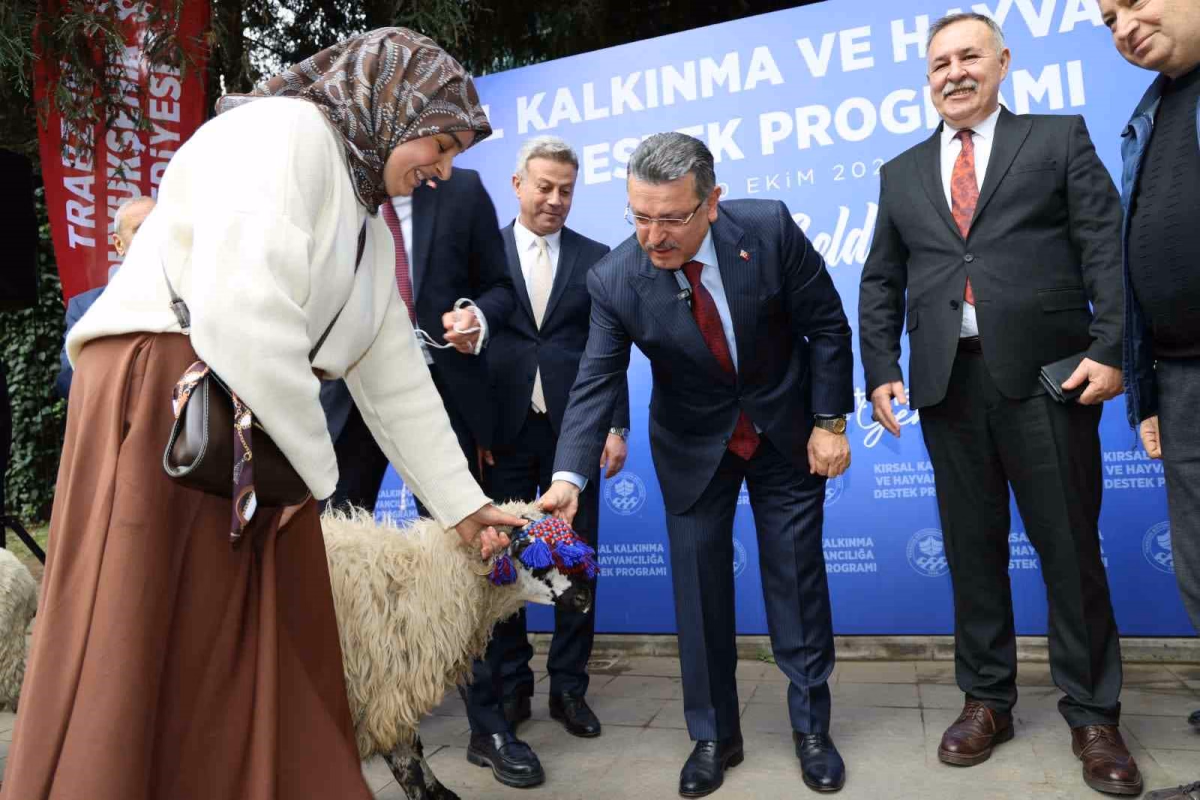 Trabzon'da Yetiştiricilere Koyun Desteği