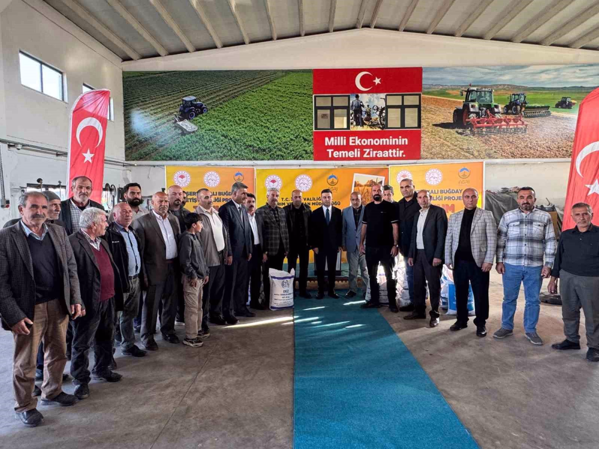Ağrı'da Üreticilere 550 Ton Buğday Tohumu